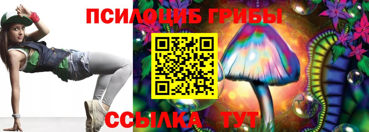 цены наркотик  Псилоцибиновые грибы Psilocybine cubensis  Вход с VPN  Галлюциногенные грибы Psilocybe  Урус-Мартан 